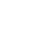 Investor visa for the partners